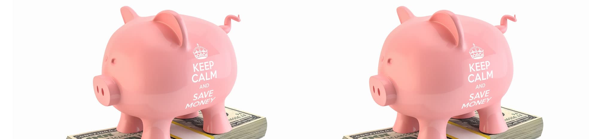 Two pink piggy banks reading 'Keep calm and save money' on bundles of notes